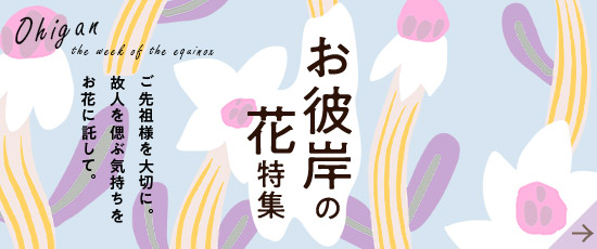 お彼岸特集