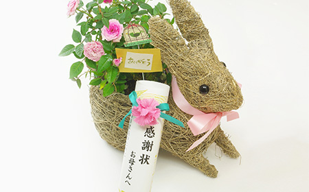 うさぎのフラワーポットに入ったカーネーション