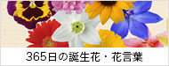 365日の誕生花・花言葉