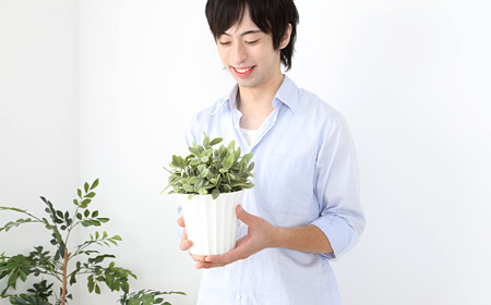 観葉植物を手にもつ男性