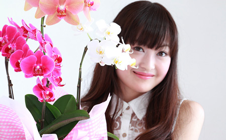 胡蝶蘭に植え替えは必要？