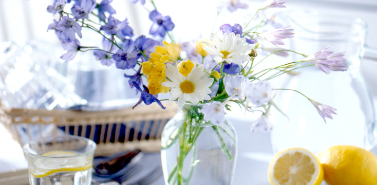 ガラス・ビニール・試験管・電球など、おしゃれなフラワーベースの種類