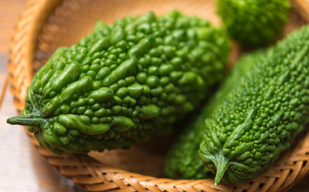 収穫したゴーヤ