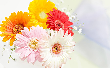 10月の誕生花＆誕生石