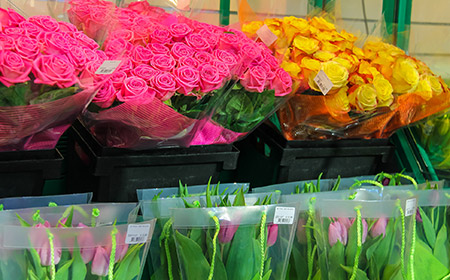 店頭に並ぶ色とりどりのバラ