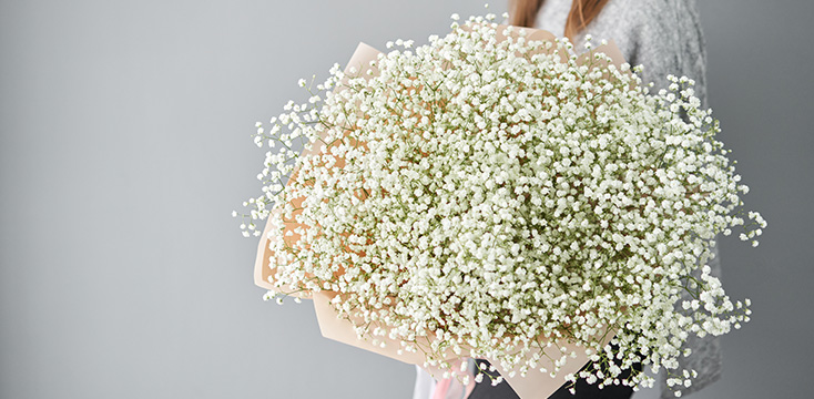 カスミソウ（かすみ草）の花言葉とは？主な種類や贈り方について解説！