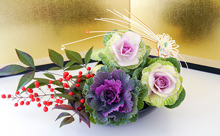 葉牡丹（ハボタン）は縁起がいいと言われる理由