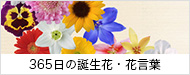 365日の誕生花・花言葉