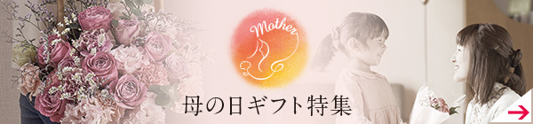 母の日ギフト特集