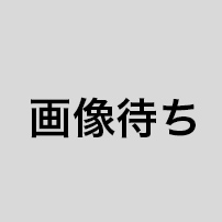 送料無料