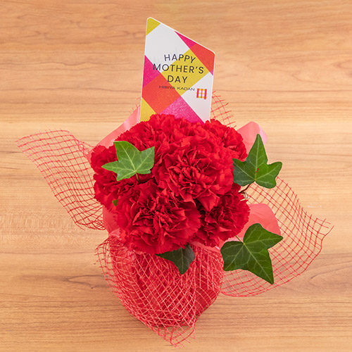 そのまま飾れるecoブーケ「ルージュ」