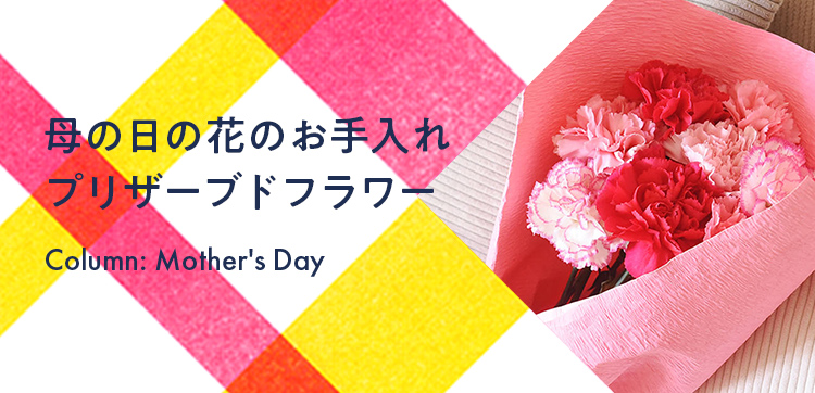 母の日の花　花のお手入れ プリザーブドフラワー