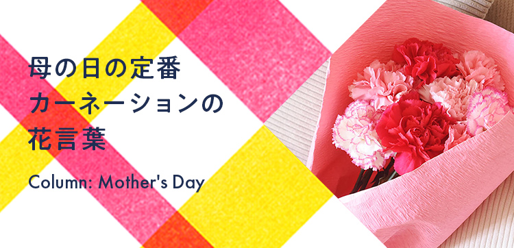 母の日の花　定番カーネーションの花言葉