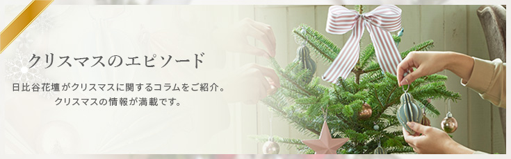 クリスマス 花ギフト・プレゼント特集2023