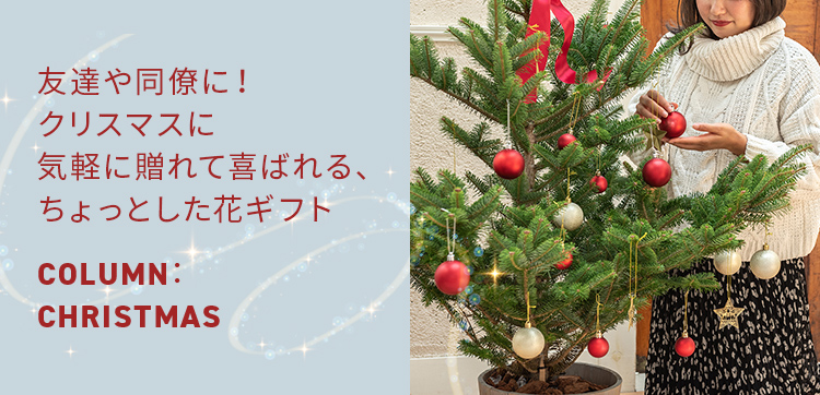 友達や同僚に！クリスマスに気軽に贈れて喜ばれる、ちょっとした花ギフト