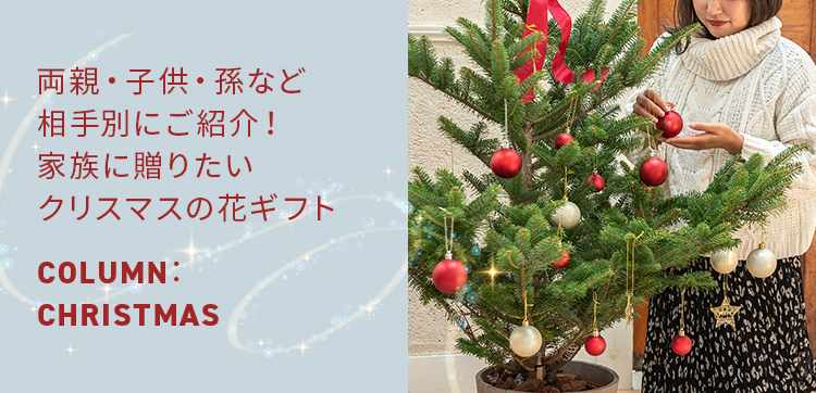 両親・子供・孫など相手別にご紹介！家族に贈りたいクリスマスの花ギフト