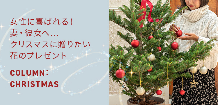 女性に喜ばれる！妻・彼女へ…クリスマスに贈りたい花のプレゼント