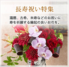 長寿祝い特集 還暦・古希・米寿などのお祝いに寿を祈願する縁起の良いお花を。