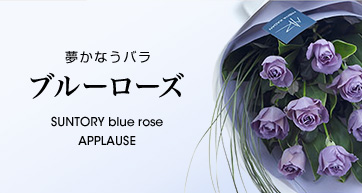 夢かなうバラ ブルーローズ SUNTORY blue rose APPLAUSE