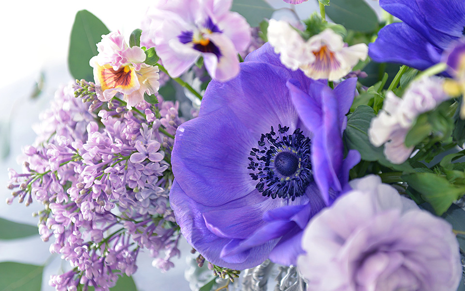 自宅で楽しむコラム Flower Story 紫 シルバー でクールに飾る 日比谷花壇 フラワーギフト通販