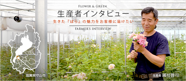 【Flower & Green】生産者インタビュー｜本当の良さをお客様に届けたい｜FARMER'S INTERVIEW