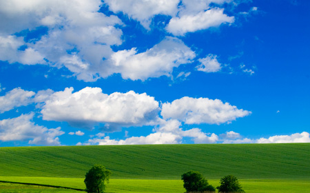 緑と青空の大草原