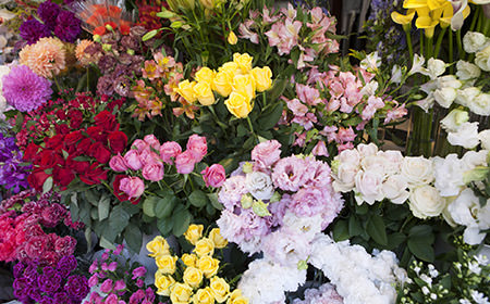 ピアノの発表会で贈る花束の値段相場とお花を渡すタイミング