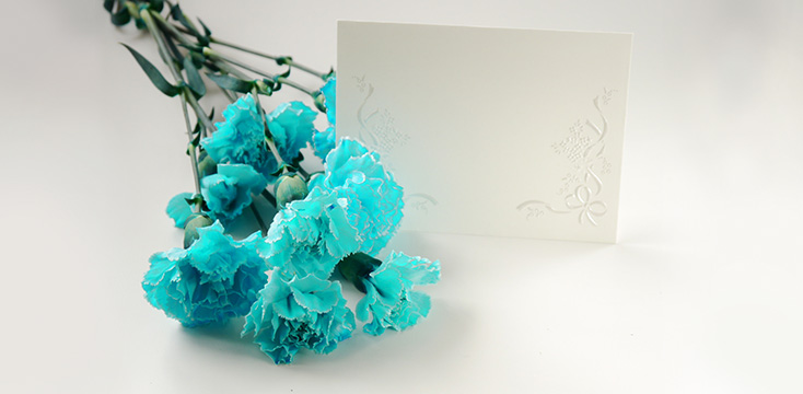 青いカーネーション ムーンダスト の花言葉を知って母の日に贈ろう 18年母の日 日比谷花壇