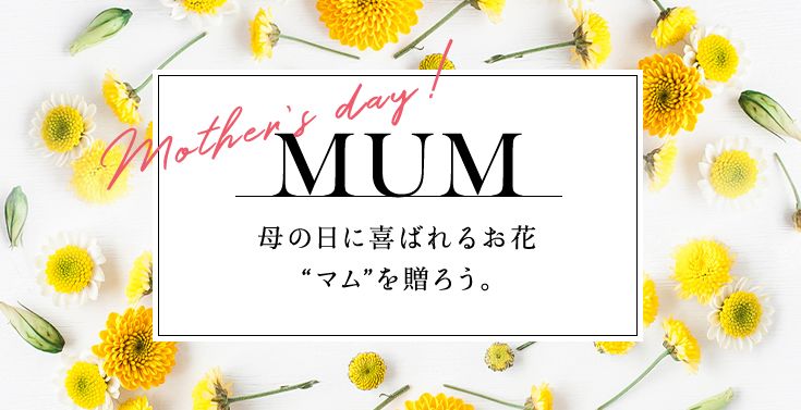 MUM 母の日に喜ばれるお花 “マム”を贈ろう。