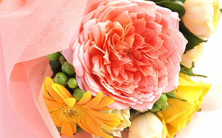 母の日に贈る花の種類は何が良い 生花店での花の買い方 選び方 日比谷花壇 母の日21