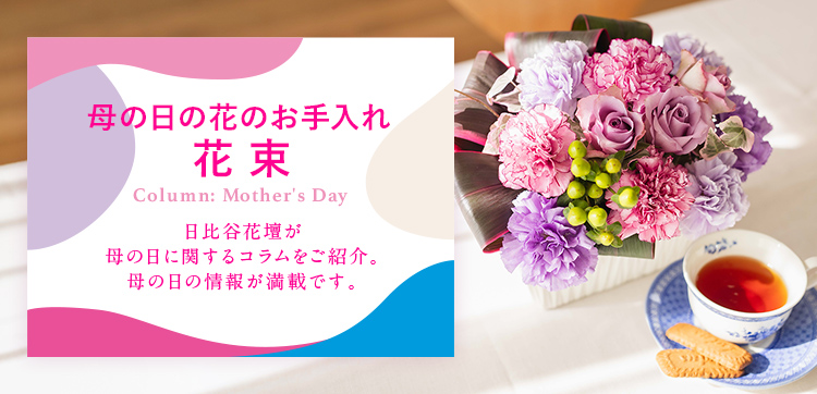 母の日の花のお手入れ 花束 母の日 花のギフト プレゼント特集22 日比谷花壇