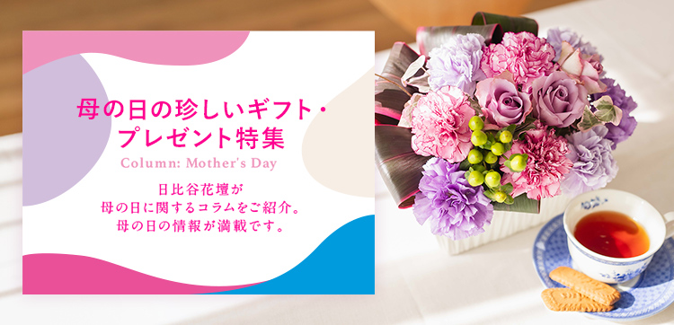 母の日の珍しいギフト・プレゼント特集｜母の日 花のギフト・プレゼント特集2022