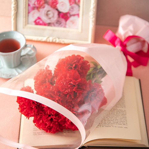 赤いカーネーションの花束「ありがとうの花」