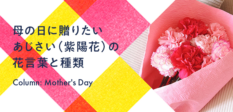 母の日に贈りたいあじさい（紫陽花）の花言葉と種類