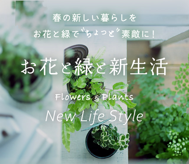 お花と緑と新生活