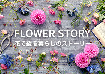 FLOWER STORY特集
