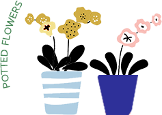 POTTED FLOWERS