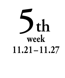 5th week 11.21-11.27