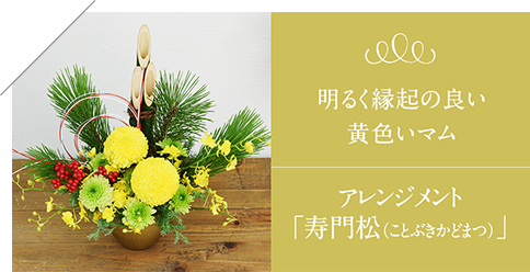 明るく縁起の良い黄色いマム｜アレンジメント「寿門松（ことぶきかどまつ）」