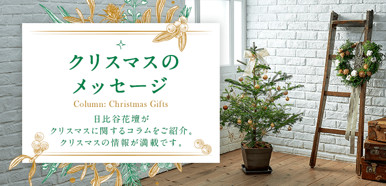 クリスマスのメッセージ【クリスマス特集2021】｜日比谷花壇