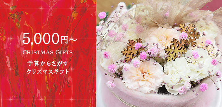 予算5,000円台の花のクリスマスプレゼント・ギフト【クリスマス特集2022】