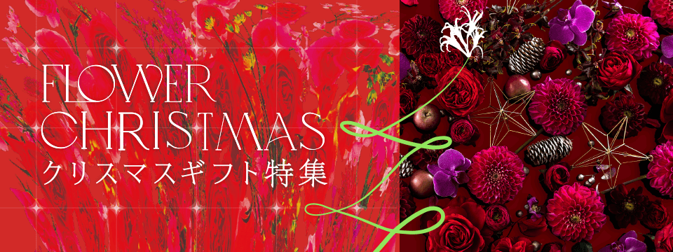 クリスマスの花ギフト・プレゼント特集