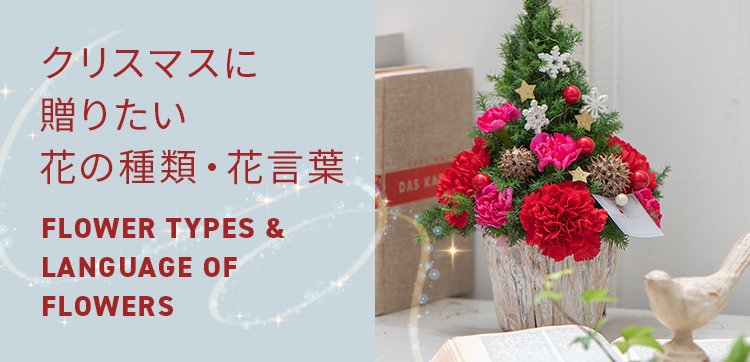 【2023】クリスマスの花 クリスマスに贈りたい花の種類・花言葉