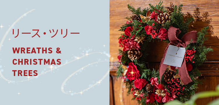 【2023】クリスマスの花 リース・ツリー