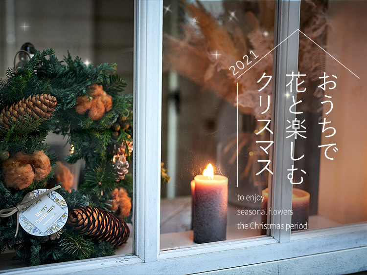 おうちで花と楽しむクリスマス【クリスマスの花特集2021】