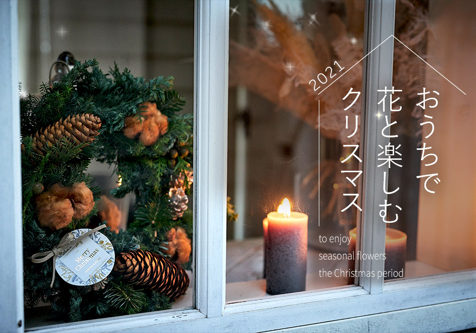 おうちで花と楽しむクリスマス【クリスマスの花特集2021】