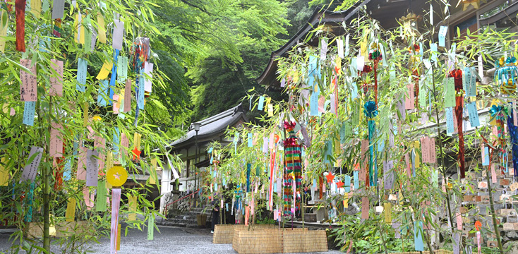 七夕の笹飾りが並ぶ寺院
