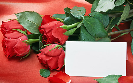赤いバラとメッセージカード